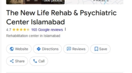 Google Business Profile The New Life-2