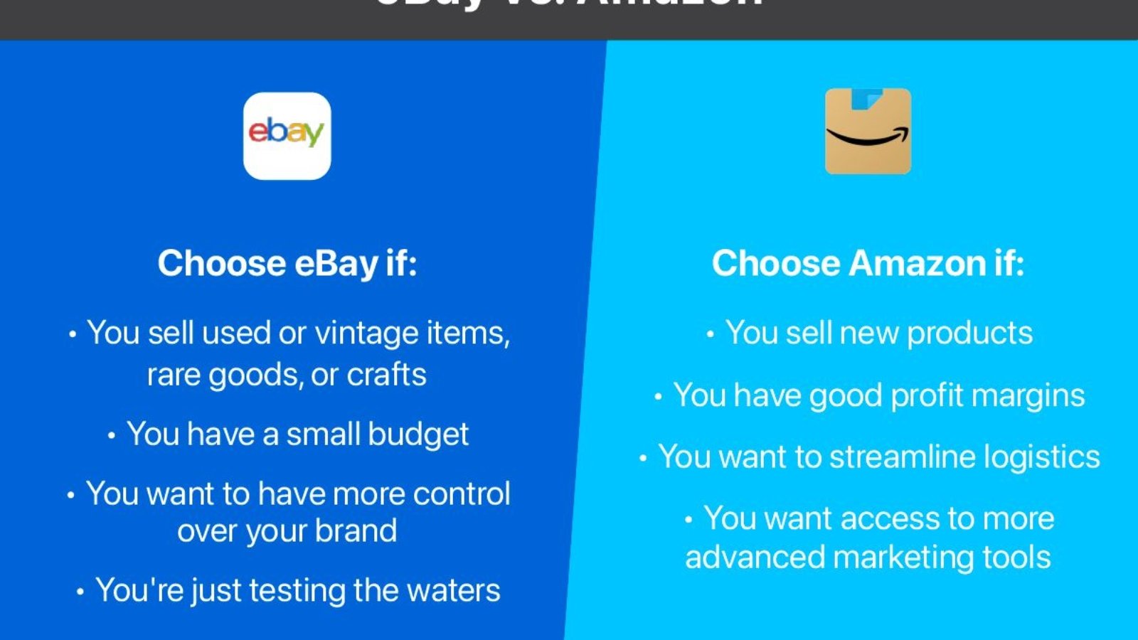 eBay vs. Amazon Which Platform is Best for Sellers in 2025 Digital Marketing in Islamabad