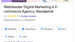 WebSeeder Digital Marketing & E-commerce Agency, Rawalpindi (GBP Local SEO)